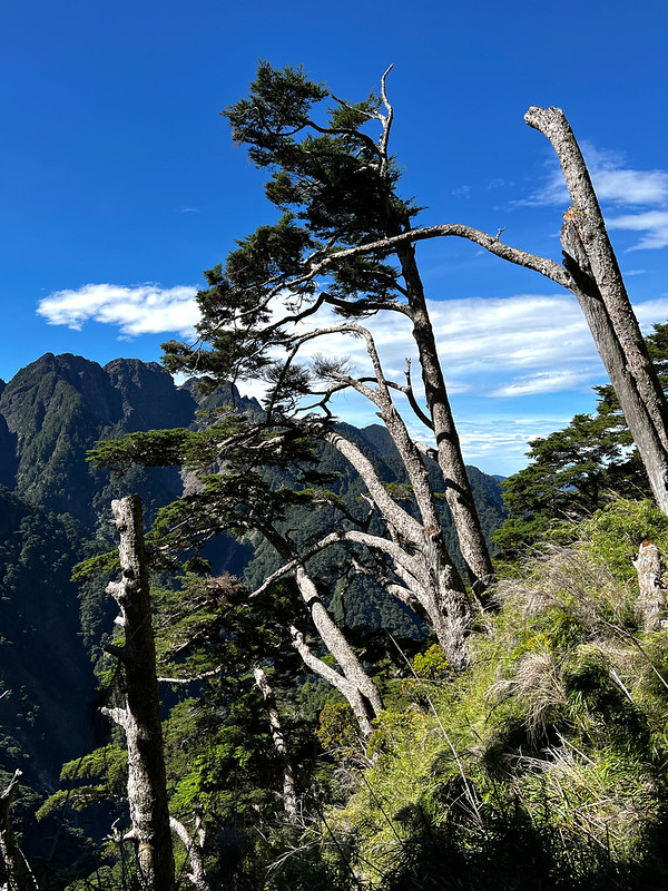 Taiwan highest mountain: Jade Mountain hike