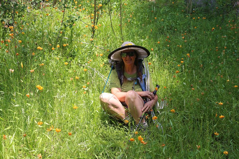 Vicki sat in the midst of a soggy hillside full of water-loving Tiger Lilies and ended up with a wet butt, on the JMT