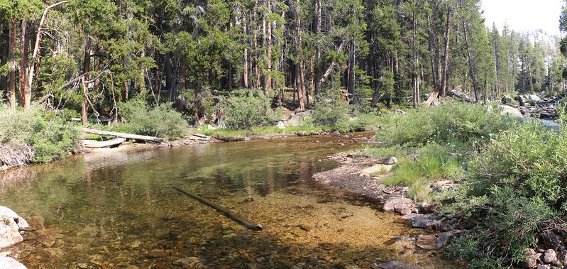 I found a shallow, trout-filled pool just below some rapids on Bear Creek, and proceeded to get out my fly rod