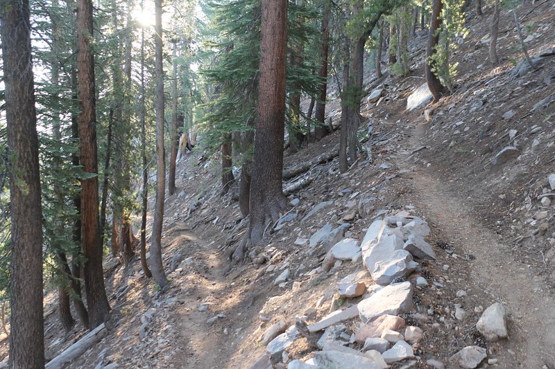 The JMT south out of Mono Creek did a lot of uphill switchbacks but the trail itself was smooth and enjoyable