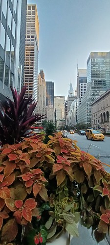 Una semana de octubre en Nueva York con excursión a Washington. - Blogs de USA - Empire State, Estación Central, Teleférico a la isla de Rosewelt... (46)
