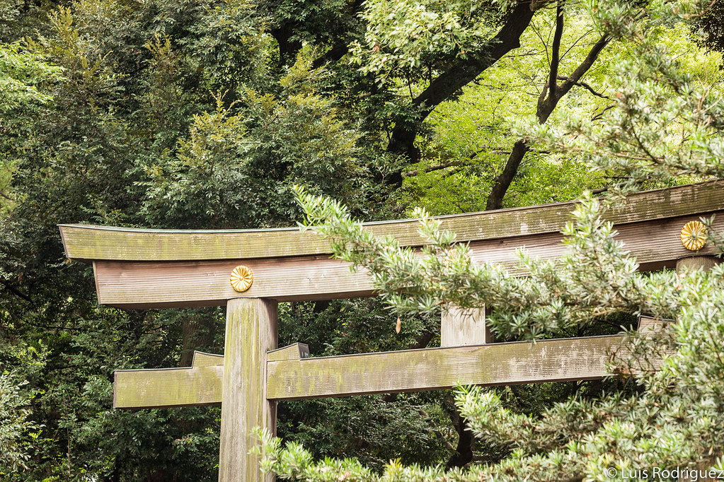 Detalle de uno de los torii del santuario Meiji