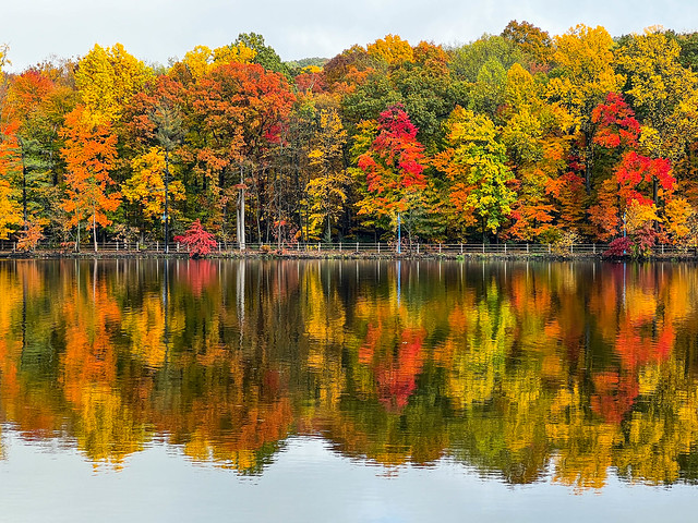 Beautiful Fall Foliage (Explored Oct 29, 2022)
