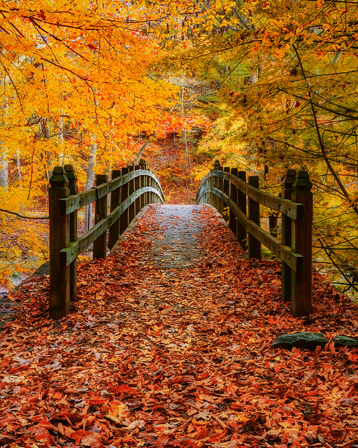 Autumn in Rock Creek Park - Washington DC