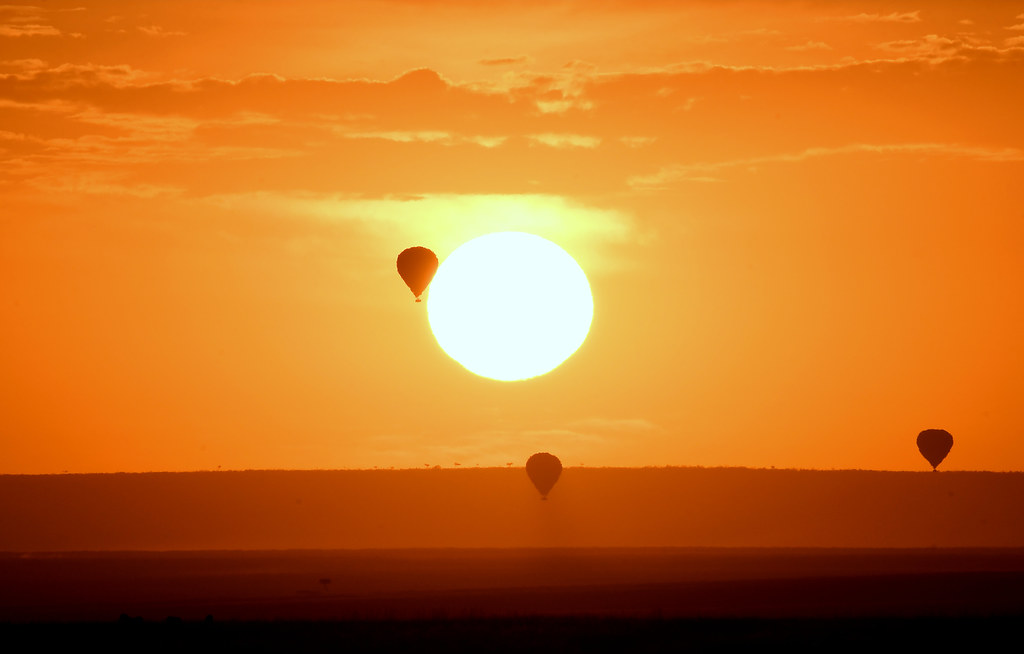 Sunrise balloon safari over the Masai Mara.