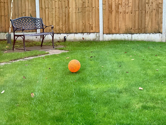 Halloween balloon in the garden