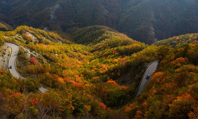 mountain road in an autumn forest