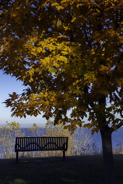 Lakefront Fall Bench