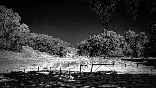 trees summer landscape infrared artisted pleasantonsunolroad pastorland eastbayregionalparks pleasantonridgeregionalpark pleasantonca blackwhite hillside