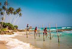 Stilt Fishing, Sri Lanka
