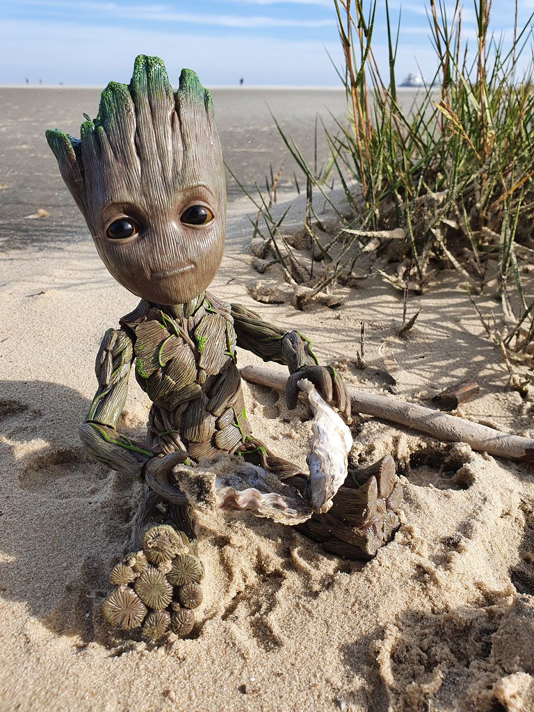 Hot Toys Life Size Baby Groot - *At the German North Coast* (1 Nov 2022) - Page 3 52464152802_169cc99014_b