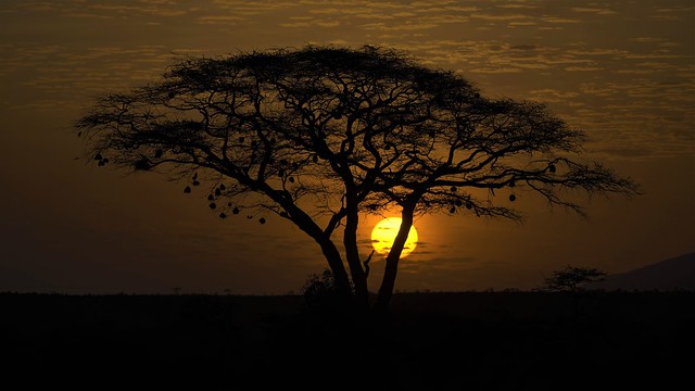 2022.09.12.4116.Z7ii Samburu Sunrise