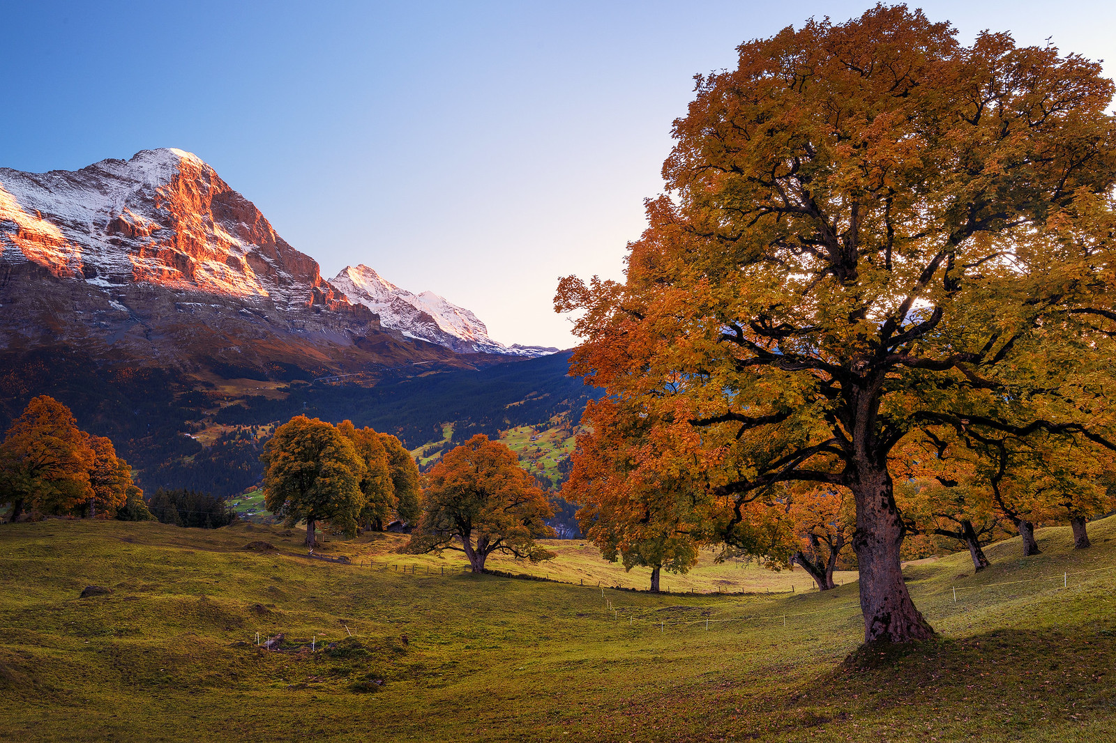 Sunset - Grindelwald