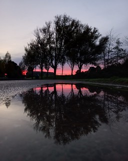 Cool sunset reflection
