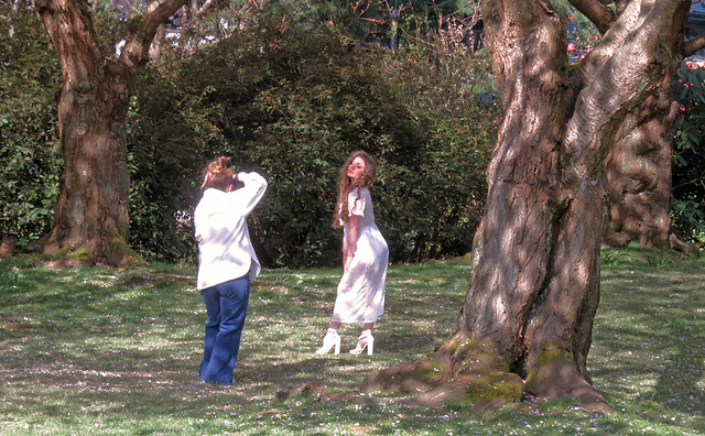 a photographer working with a model wearing white under the big cherry trees in full blossom