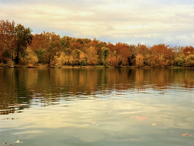 A cloudy fall day on the river.