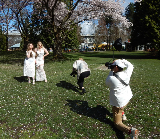 photographers in action working with two model s both wearing white under the big cherry trees in full blossom