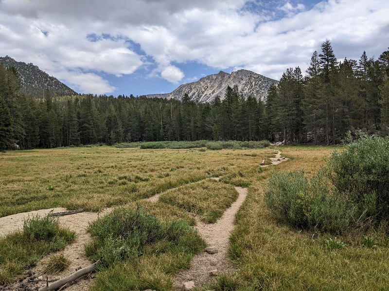 Mount Senger (12285 feet elevation) in the distance to the north as we cross a meadow on the John Muir Trail