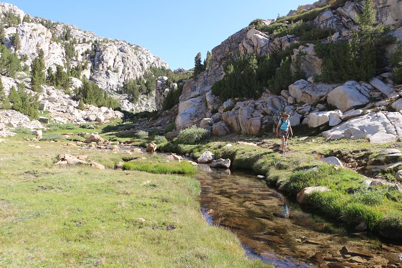 Creek full of Golden Trout, flowing through a meadow, with Selden Pass to the north