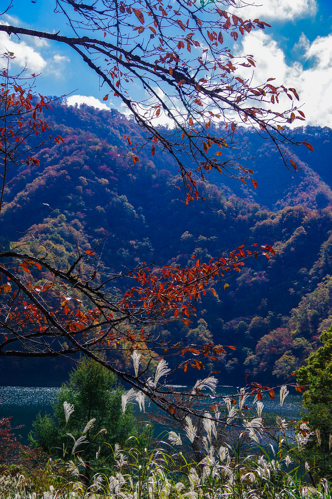 2022.10.31 九頭竜湖バスツアー | Hsiang-ya Fanchiang | Flickr