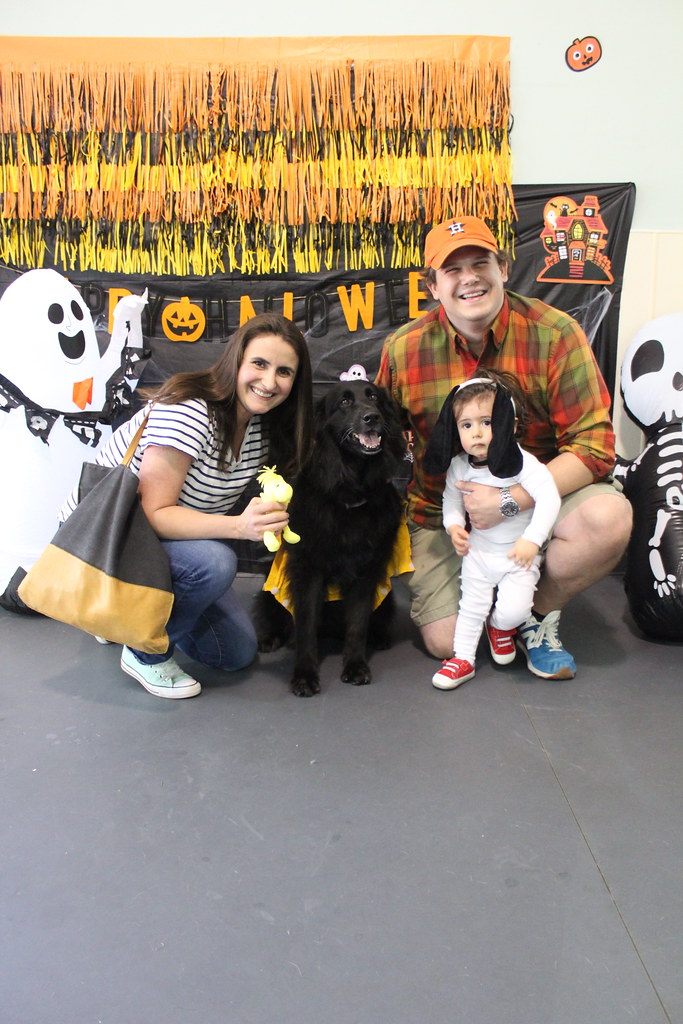 IMG 5125 Doggie Daycare Halloween Party 2022 Rover Oaks Pet Resort img-5125-doggie-daycare-halloween-party-2022-rover-oaks-pet-resort