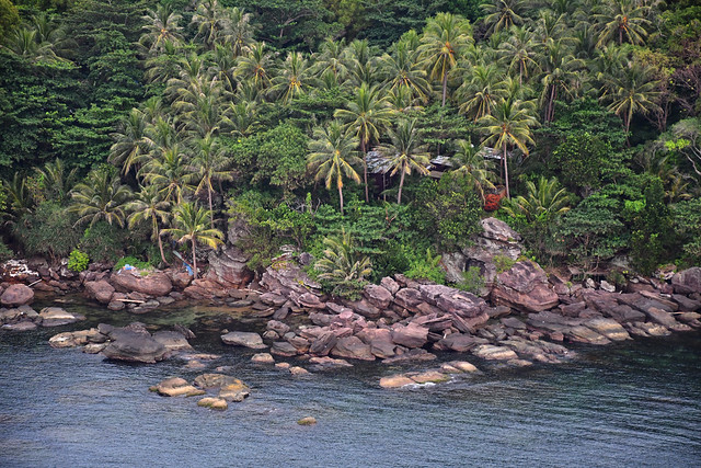 coconut island