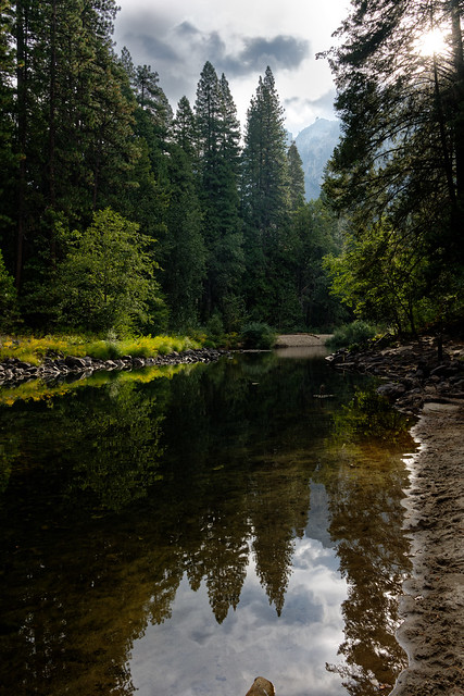 Trees and Peaks Reflected off the Merced River (Yosemite National Park)