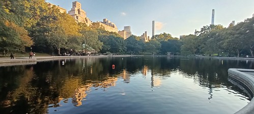 Una semana de octubre en Nueva York con excursión a Washington. - Blogs de USA - Central Park y fin de viaje. (20)