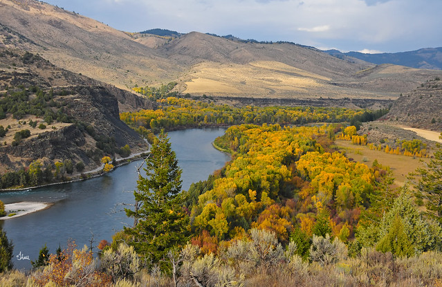 South Fork of the Snake River - 1673b+