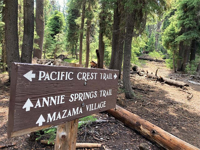 I was on the Pacific Crest Trail!