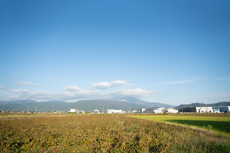 雲がかかる伊吹山