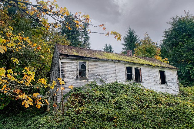 Abandoned House Autumn 5042 A