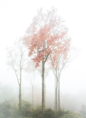 11.1.22 F | by steveowen2725