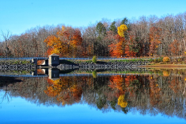 Fall color is disappearing, Griffin Pond dam, South Abington Twp, Pennsylvania