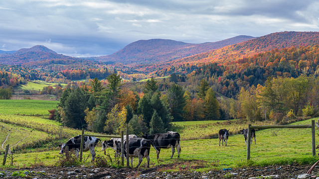 Cambridge Vermont Fall Valley