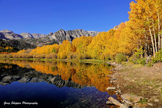 Autumnal reflections-Bishop creek, Sierra Nevada CA