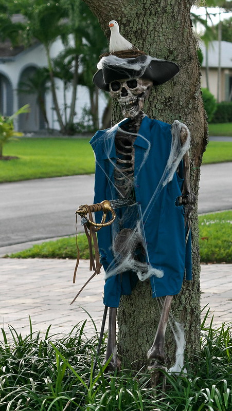 Pirate Skeleton, This Halloween decoration shall sail never…