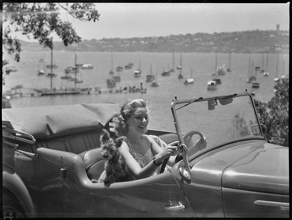 Woman in a sports car with a dog, Sydney Harbour, 1940
