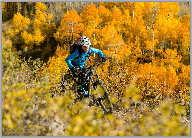 Blue & Orange - Fall Mountain Biking