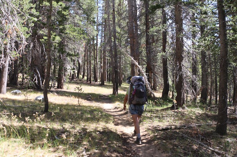 We applied copious amounts of DEET before heading into the mosquito-ridden forest on the Piute Canyon Trail