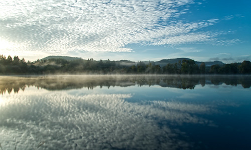 vernonialake morning landscape lake
