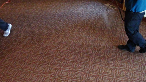 Rug Cleaning (4)
