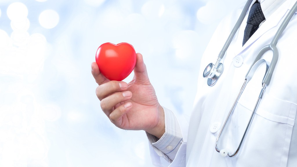 A doctor in a white coat with a stethoscope holding a small red plastic heart