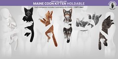 SEmotion Libellune Maine Coon Kitten Holdable
