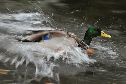 Slow shutter speed | by Daz moston