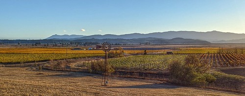 Wine and shine by Gunn Shots !, A view of the Petaluma River Valley near Lakeville, in the evening sun. These are pretty much the on