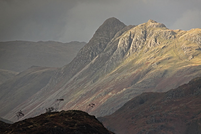 Light on the Stickle's