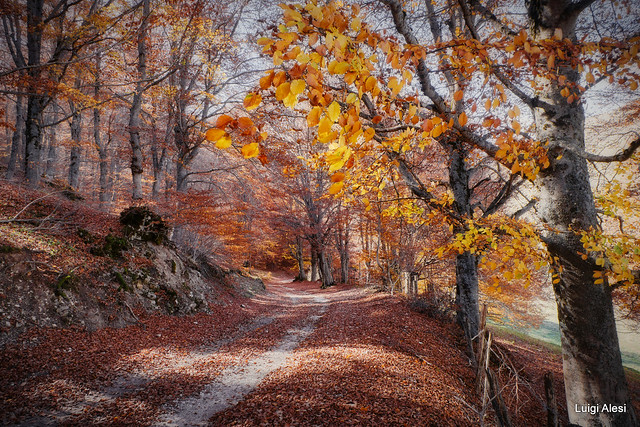 Sibillini - l'autunno in val Canatra - Castelluccio di Norcia (PG)
