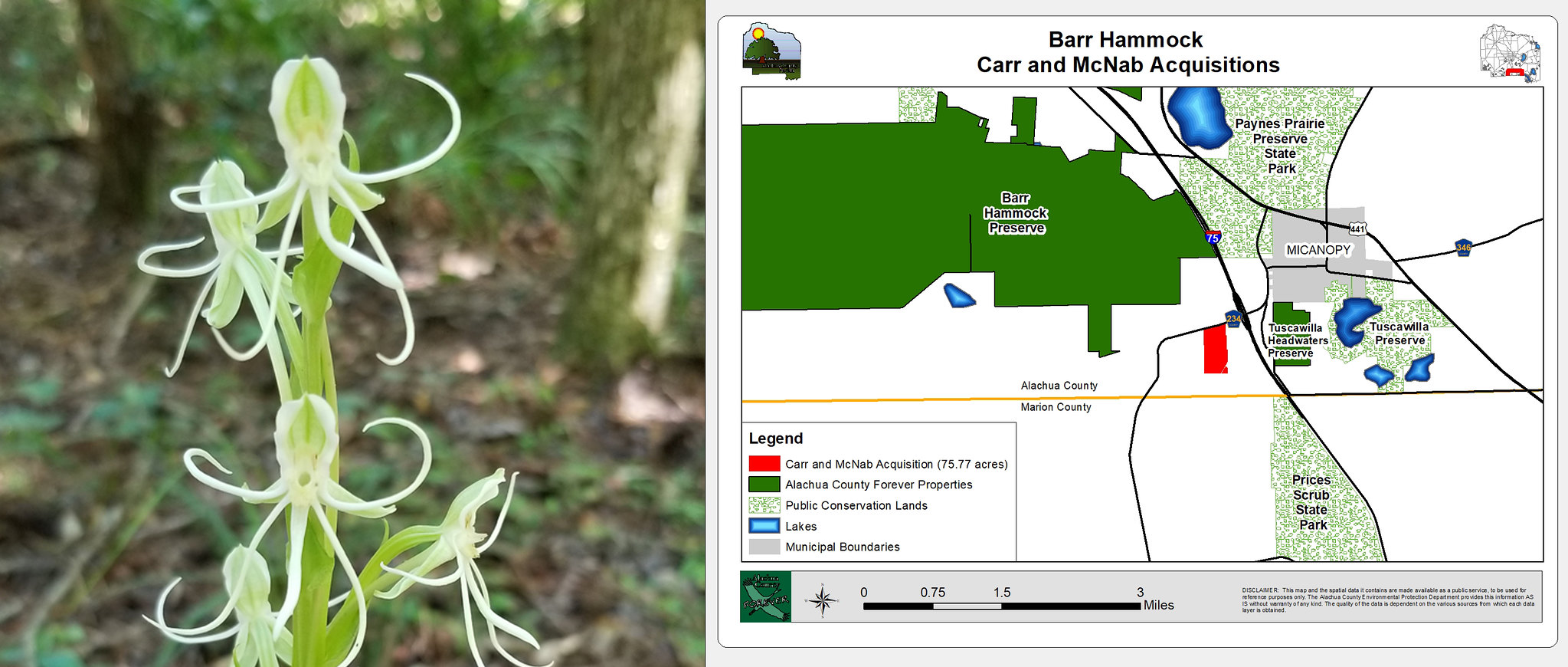 Carr McNab Overview Map 