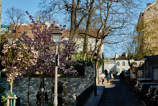 Cherry blossom in Montmartre, during the COVID-19 lockdown, Paris, France